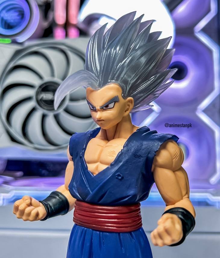 Clearise Beast Gohan - Image 8