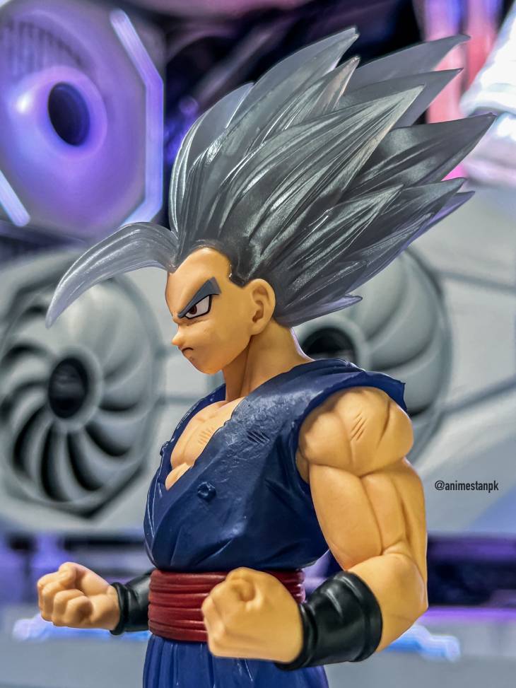 Clearise Beast Gohan - Image 3