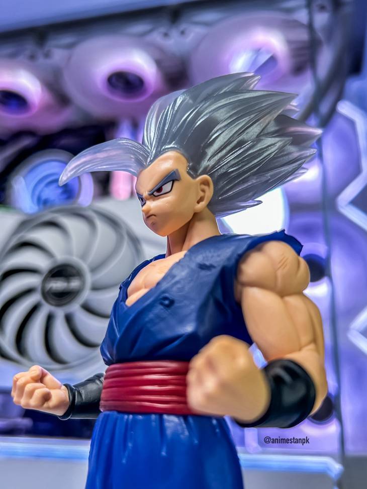 Clearise Beast Gohan - Image 7
