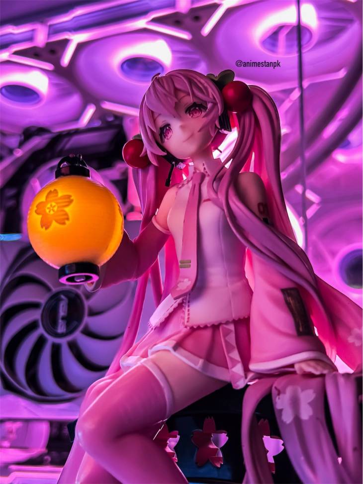 Vocaloid AMP+ Sakura Miku (Sakura Lantern Ver.)