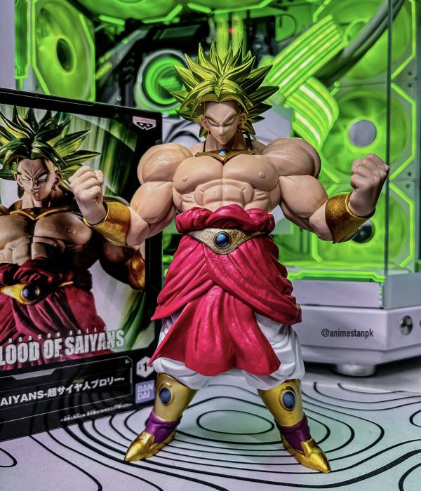 Blood of Saiyans Broly