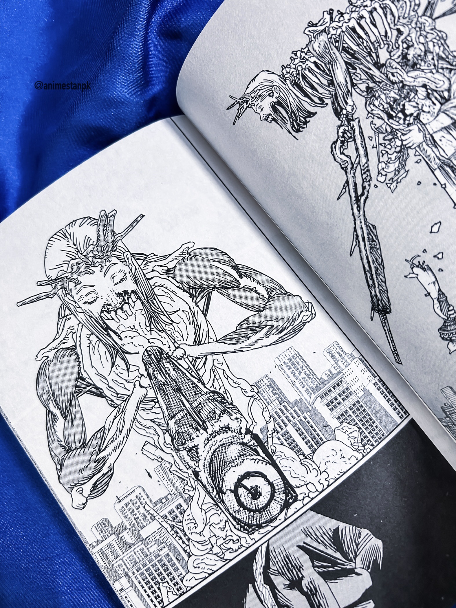 Chainsawman Vol.20 - Image 5