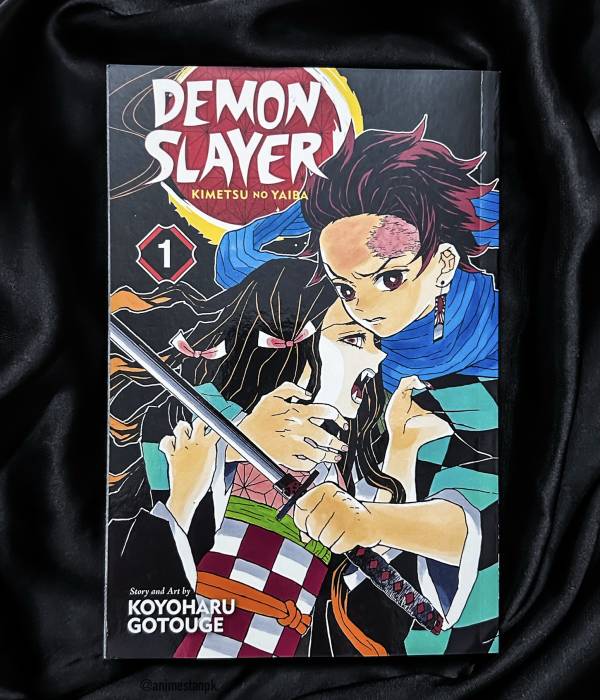 Demon Slayer Volume 1