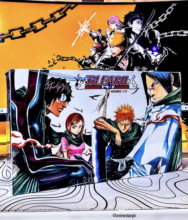 Bleach Boxset Volume (1-21)