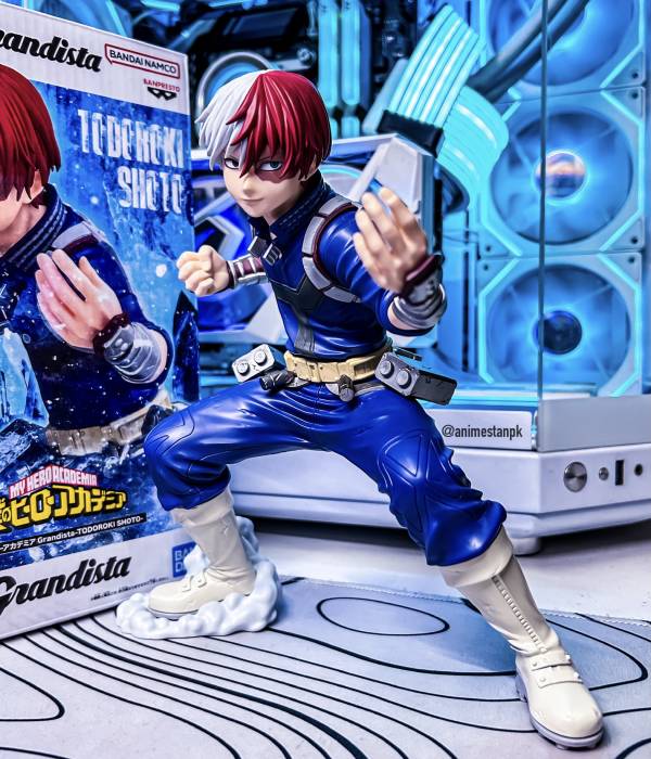 Grandista Shoto Todoroki